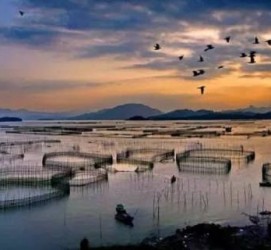 崇左伴游中国网景点丰富(旅游网介绍)