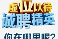 崇左青海伴游雇用(青海湖旅游公司雇用)