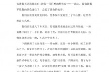 崇左旅游感想(张家界旅游感想)