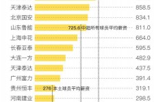 崇左关于伴游小丽中国足球的信息