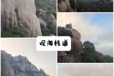 崇左一日游攻略(崂山风景区一日游攻略)