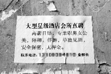 崇左珠海伴游雇用网(珠海游览社雇用信息)