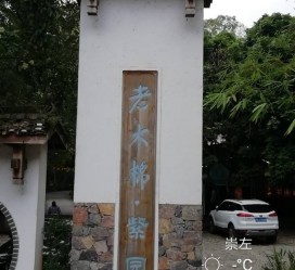 崇左关于伴游中国伴游你们伴得是什么游的信息
