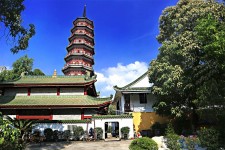 崇左广州自由行(广州 自由行)