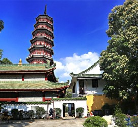 崇左广州自由行(广州 自由行)