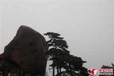 崇左上海伴游私家陪游雇用女模(上海伴游私家陪游雇用女模特)