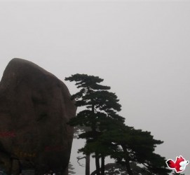 崇左上海伴游私家陪游雇用女模(上海伴游私家陪游雇用女模特)