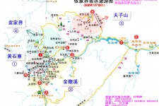 崇左旅游路线规划(旅游路线规划软件)