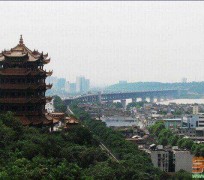 崇左武汉游玩攻略(武汉游玩攻略ppt)