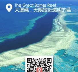 崇左中国250家旅行社结伴游新西兰(新西兰当地旅行社)