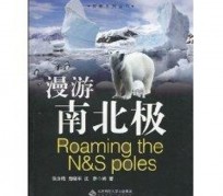 崇左游记攻略(ps西游记攻略)