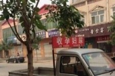 崇左上海伴游 用伴游造句大全(5