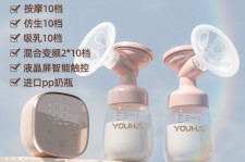 崇左奶模(奶模型)