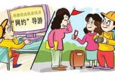 崇左伴游是什么