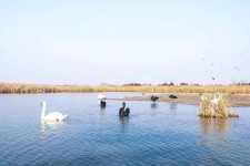 崇左南昌附近伴游小妹兼职(1534939978姐的微信德惠市)