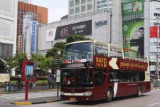 崇左上海私人伴游 上海过年怎么玩？这些“微游”线路了解下→