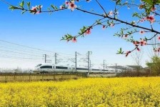 崇左高铁游(高铁游戏下载手机版)