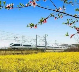 崇左高铁游(高铁游戏下载手机版)