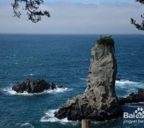 崇左旅游全攻略(上海旅游全攻略)