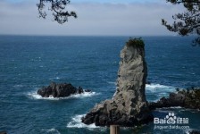 崇左旅游全攻略(上海旅游全攻略)