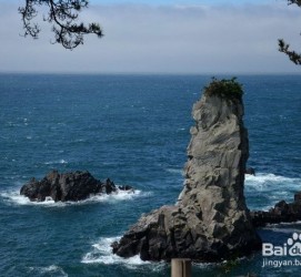 崇左旅游全攻略(上海旅游全攻略)