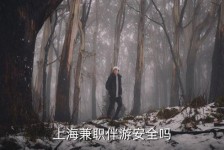 崇左上海私人伴游 上海伴游，上海兼职伴游安全吗
