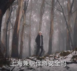 崇左上海私人伴游 上海伴游，上海兼职伴游安全吗