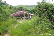 崇左北海伴游兼职雇用信息(北海伴游兼职雇用信息大全)