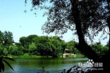 崇左西湖旅游攻略(上海到杭州西湖旅游攻略)