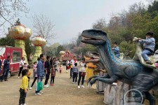 崇左中国伴游带你打卡网红南山竹海(南山竹海网上预约)