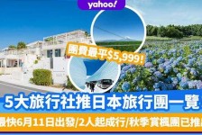 崇左旅游价格(旅游价格机制)