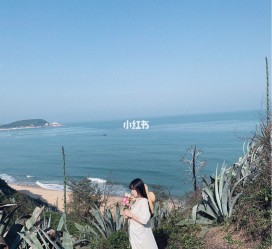 崇左厦门周边游(厦门及周边旅游攻略)