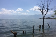 崇左洱海旅游攻略(洱海旅游攻略自由行)
