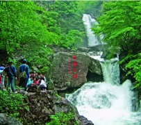 崇左安吉旅游攻略(湖州安吉旅游攻略)