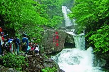 崇左安吉旅游攻略(湖州安吉旅游攻略)