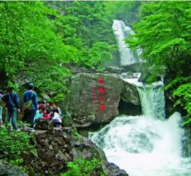 崇左安吉旅游攻略(湖州安吉旅游攻略)