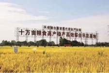 崇左关于成都商务伴游外围雇用的信息