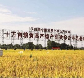 崇左关于成都商务伴游外围雇用的信息