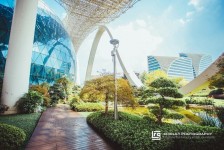 崇左杭州外围伴游雇用(杭州外围雇用经纪人)