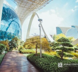 崇左杭州外围伴游雇用(杭州外围雇用经纪人)