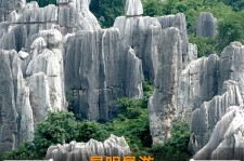 崇左贵阳市游览社英语伴游雇用(贵阳市前十名游览社是哪几家)