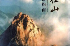 崇左旅游指南(旅游指南日语怎么说)