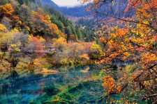 崇左四川旅游攻略(四川旅游攻略十五日游)