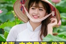 崇左日本关东伴游中国(日本关西旅行)