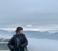 崇左四日游(朝鲜四日游)