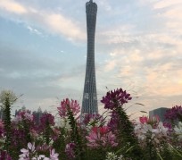 崇左广州旅游攻略(杭州到广州旅游攻略)