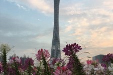 崇左广州旅游攻略(杭州到广州旅游攻略)