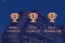 崇左上海私人伴游 ​ “小而美”的新时代：2020年国内新跟团消费报告