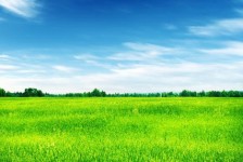 崇左上海伴游 上海模特伴游微信号的交友宣言