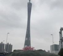 崇左广州游玩攻略(广州游玩攻略景点大全免费)